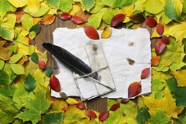 A birds-eye view of a completed nature scavenger hunt checklist lying on a bed of leaves. Beside the checklist are various items collected during the hunt, including a pine cone, a feather, a smooth rock, and a colorful autumn leaf.