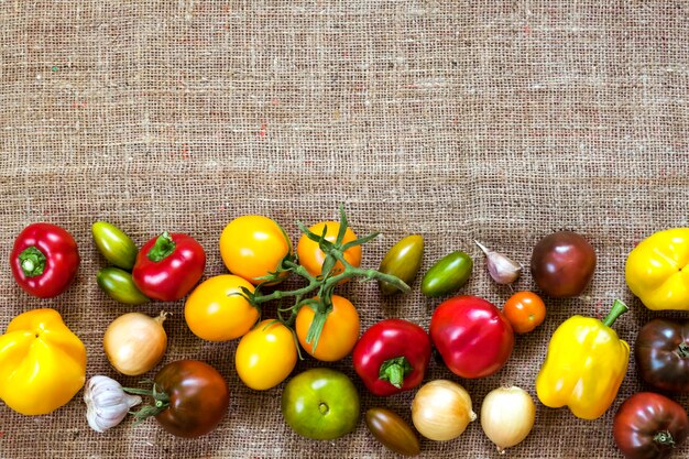 A vibrant, overhead shot of a colorful array of fresh, organic fruits and vegetables arranged on a wooden cutting board, with a baby food blender positioned nearby. This image emphasizes the control over ingredients and the fresh, healthy options available when making homemade baby food.